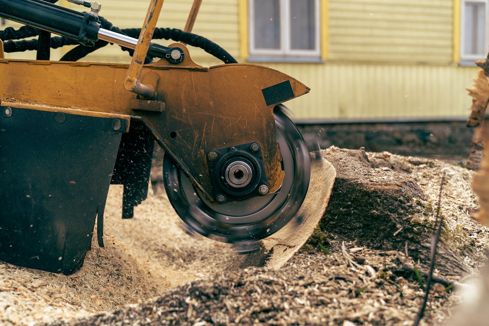 stump removal
