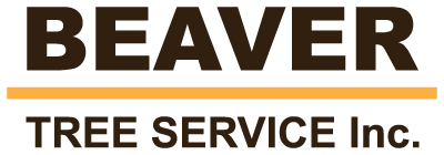 beaver tree service logo
